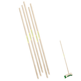 SET VON 5 STIELEN FÜR KEHRBÜRSTEN