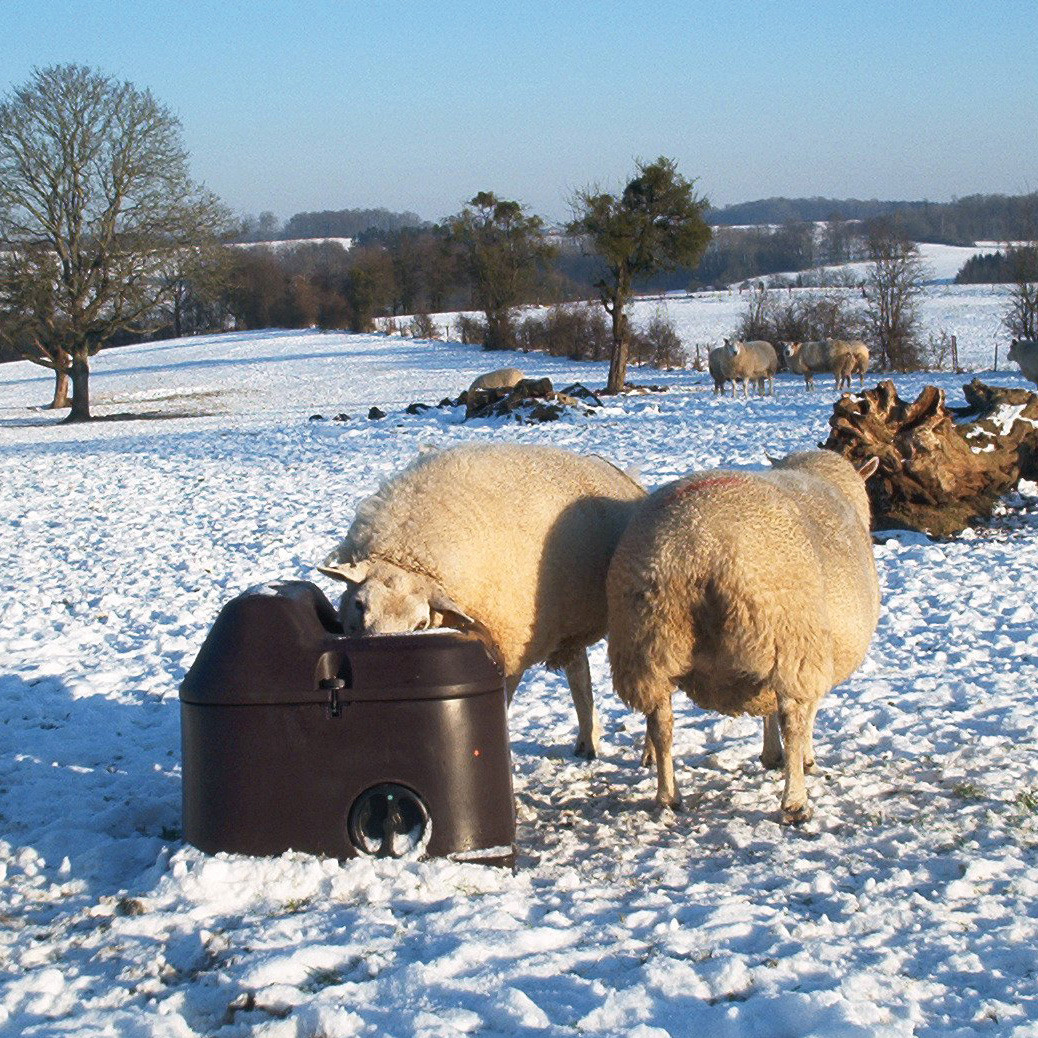 Abreuvoir antigel isotherme THERMOLAC pour moutons